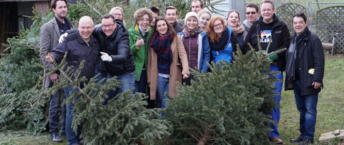 Dresden Weihnachtsbaum entsorgen für den guten Zweck