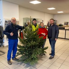 3. Dresdner Weihnachtsbaum-Abholaktion des Lions Clubs „New Century“ Dresden wieder ein voller Erfolg.